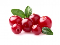Cranberry Health Benefits